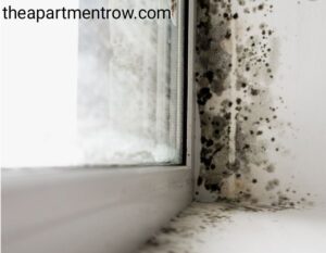 mold in apartment florida