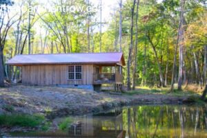 cabins to rent in alabama