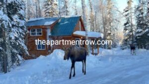 Cabins for Rent in Wasilla AlaskaCabins for Rent in Wasilla Alaska: Cozy Wilderness Stays for Every SeasonCabins for Rent in Wasilla Alaska: Cozy Wilderness Stays for Every Season
