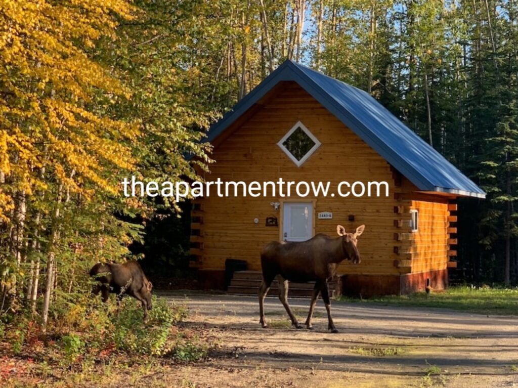 Cabins for Rent in Wasilla Alaska